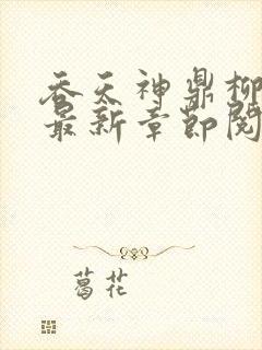 吞天神鼎柳无邪最新章节阅读