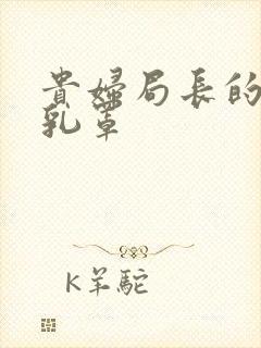 贵妇局长的蕾丝乳罩