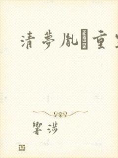 清梦胤礽重生封面