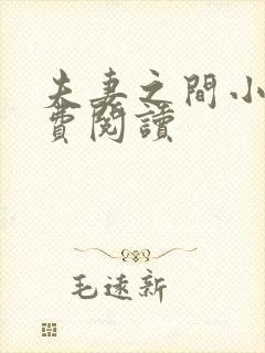 夫妻之间小说免费阅读