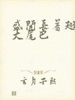 盛开长着翅膀的大尾巴封面