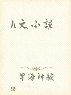 h文小说