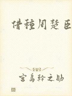 借种周楚臣封面