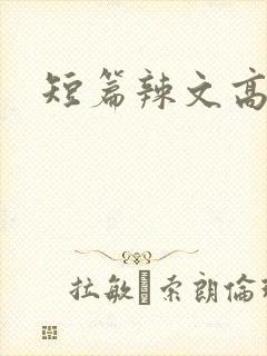 短篇辣文高h