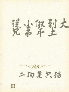 从小做到大骨科兄弟年上