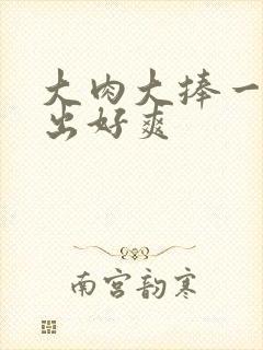 大肉大捧一进一出好爽