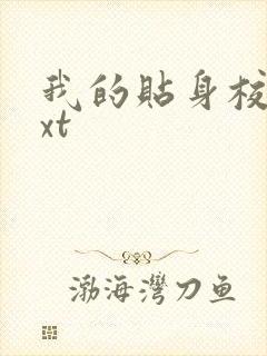 我的贴身校花txt封面