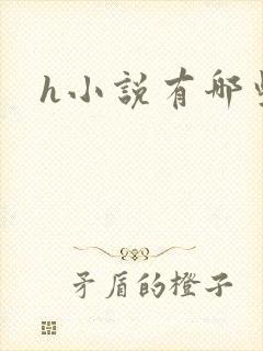 h小说有哪些封面