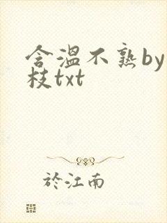 含温不熟by词枝txt