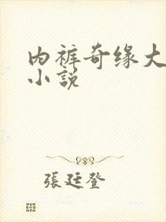 内裤奇缘大团结小说