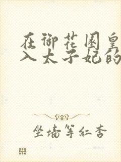 在御花园皇上进入太子妃的小说