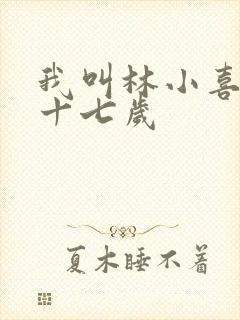 我叫林小喜今年十七岁封面