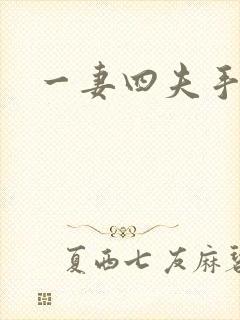 一妻四夫手记