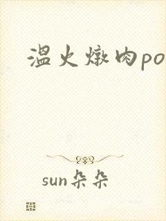 温火炖肉pop