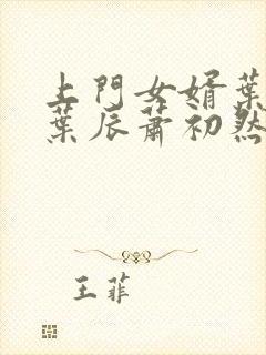 上门女婿叶辰 叶辰萧初然531