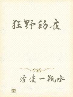 狂野的夜封面