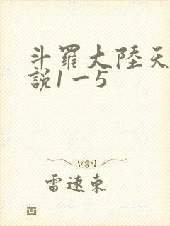 斗罗大陆天狂传说1一5