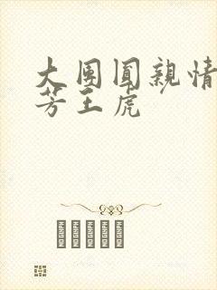 大团圆亲情会王芳王虎封面