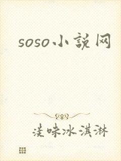 soso小说网