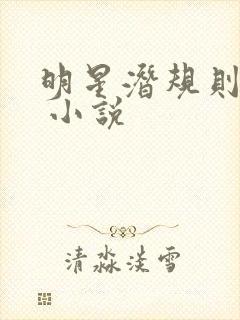 明星潜规则之皇 小说