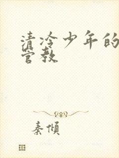 清冷少年的严厉管教封面