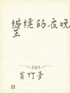 缠绕的夜晚双男主