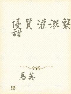 优质灌溉系统阮甜