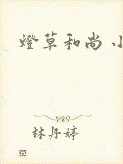 灯草和尚 小说