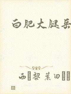 白肥大腿岳封面