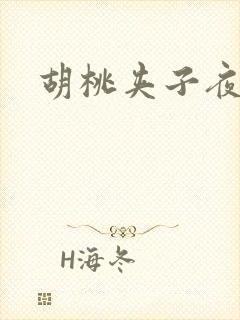 胡桃夹子夜未眠封面