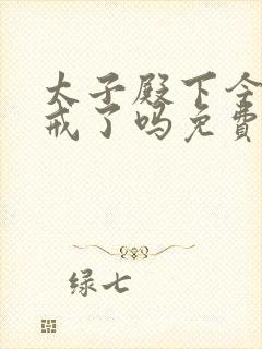 太子殿下今天破戒了吗免费阅读封面