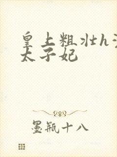 皇上粗壮h灌满太子妃封面