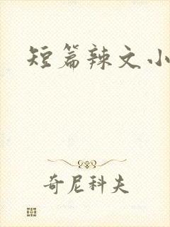 短篇辣文小说