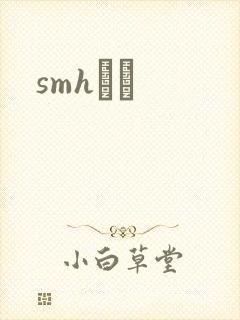 smhС˵封面