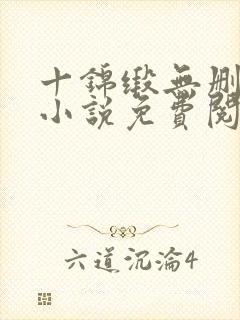 十锦缎无删原著小说免费阅读封面