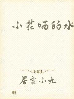 小花喵的水蜜桃封面