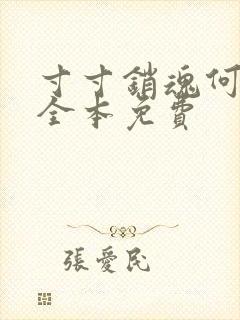 寸寸销魂何生祥全本免费