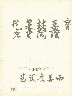 我是林喜宝小说免费阅读封面