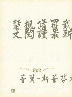 楚枫修罗武神全文阅读最新封面