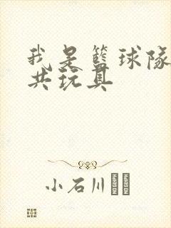 我是篮球队的公共玩具封面