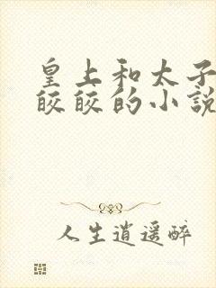 皇上和太子妃沈皎皎的小说免费封面