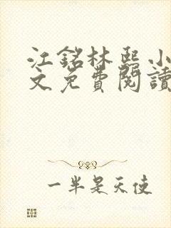 江铭林熙小说全文免费阅读