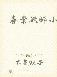 春棠欲醉小说封面