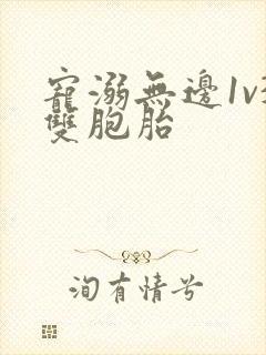 宠溺无边1v3双胞胎封面