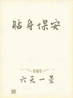 贴身保安封面
