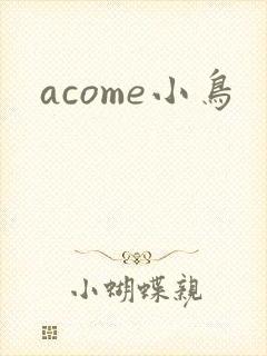 acome小鸟