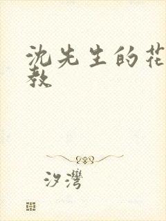 沈先生的花式管教