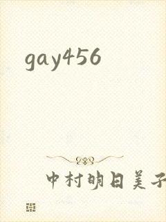 gay456封面
