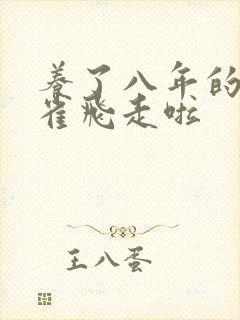 养了八年的金丝雀飞走啦