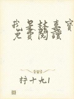 我是林喜宝小说免费阅读封面